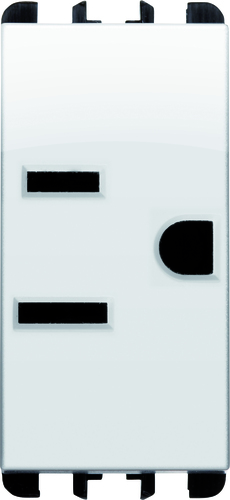 Presa USA + saudita polarizzata, 1 modulo, 2P+T 15A-127V, Nea, bianco ghiacico