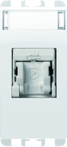 Presa RJ45 Cat.5e UTP 1 modulo, (EIA T568A/B), Nea, bianco ghiaccio