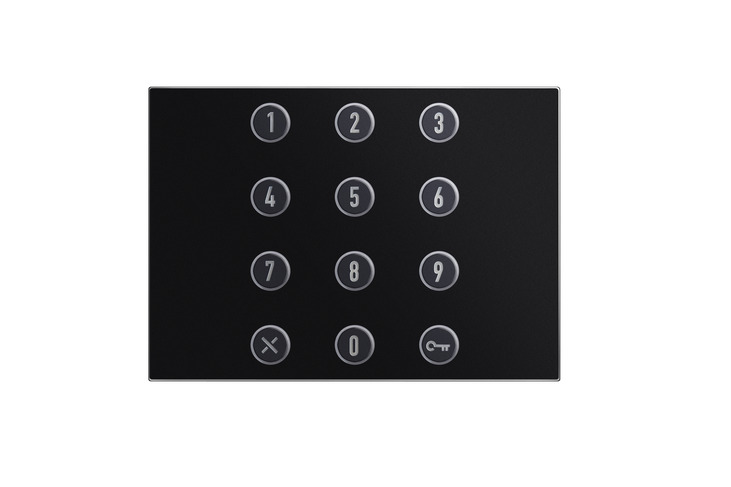 Numeric keypad door opening module, Alpha, black